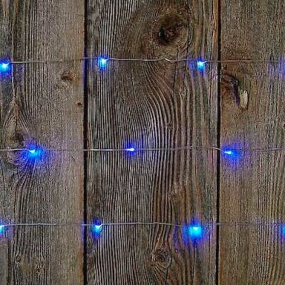 TINY Lites Battery Operated Silver Wire Indoor Led Light String Blue 9.8-Ft - Picture 1 of 2